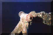 photo de Philippe